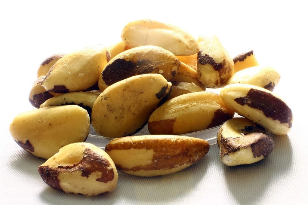 Brazil Nuts, healthy nuts for keto, Vermifood