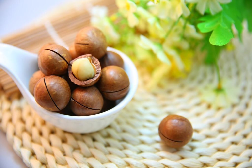 Macadamia nuts, healthy nuts for keto, Vermifood
