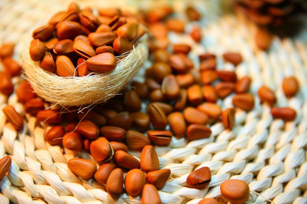 Pine nuts, healthy nuts for keto, Vermifood