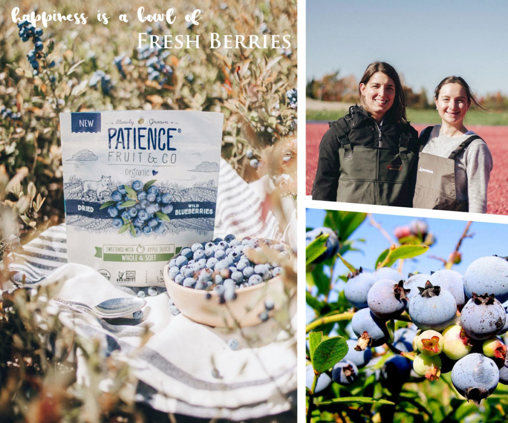 patience fruit & co