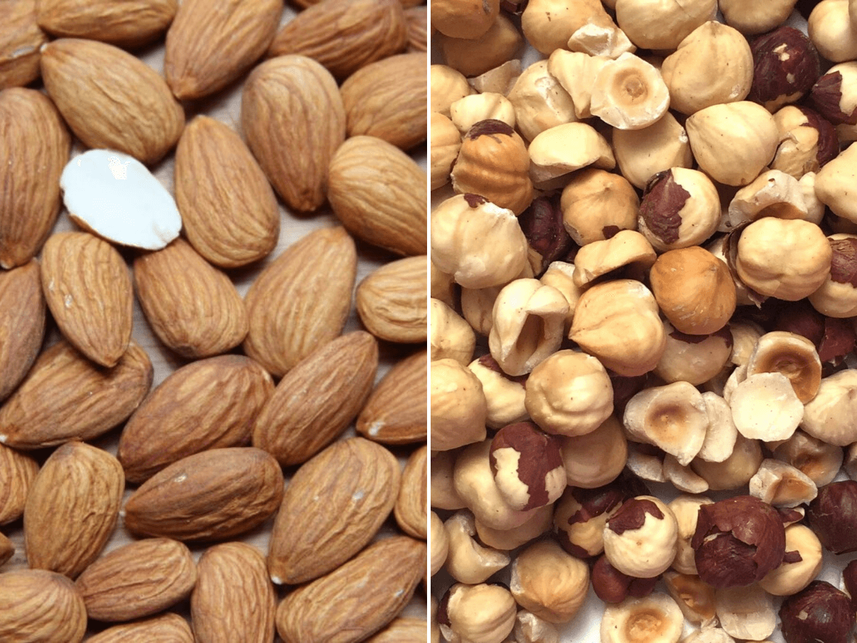 almonds-and-hazelnuts-brain-health